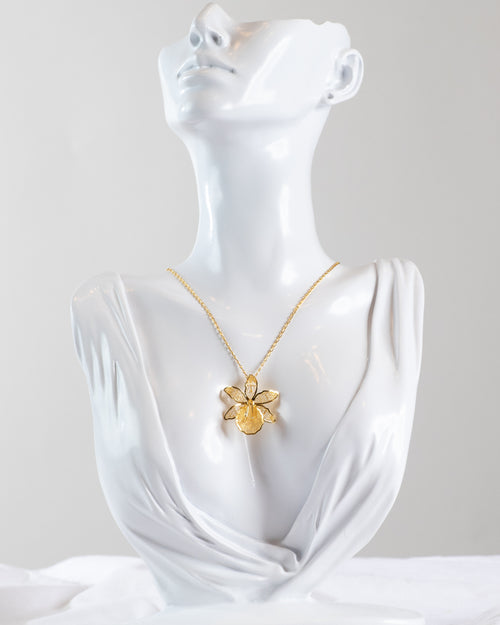 The Gualaceo Collection